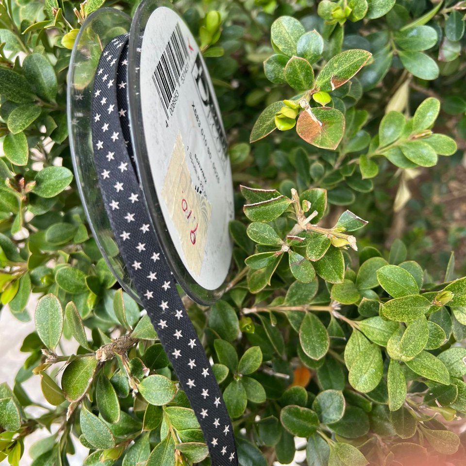 nastro nero con stelline bianche Goldina 10 mm x 1 metro