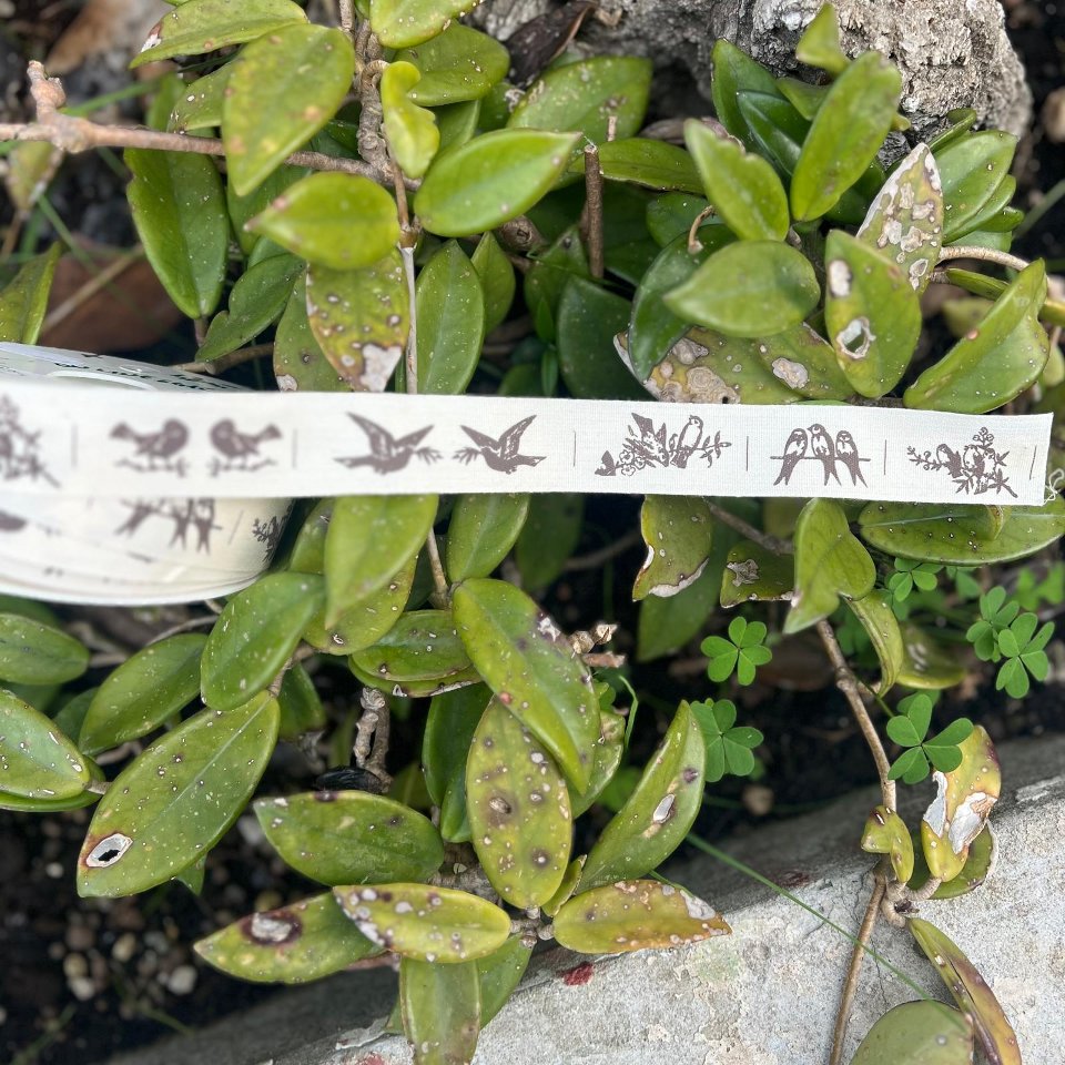 nastro cotone vintage colombe e uccellini stamperia 25 mmx 1mt