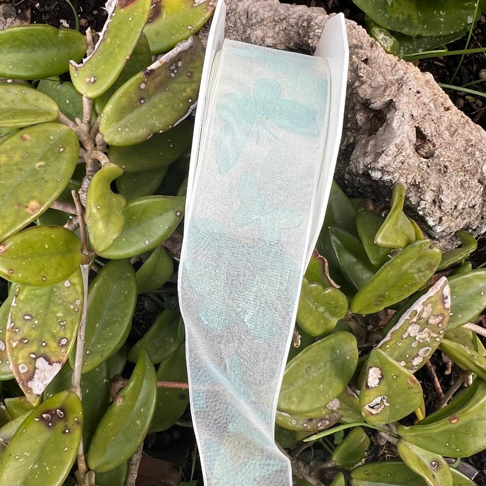 nastro organza con farfalle colore menta Stafil 40 mm per i met