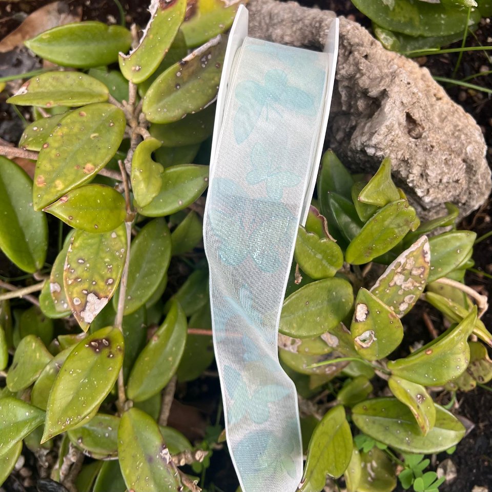 nastro organza con farfalle colore menta Stafil 40 mm per i met