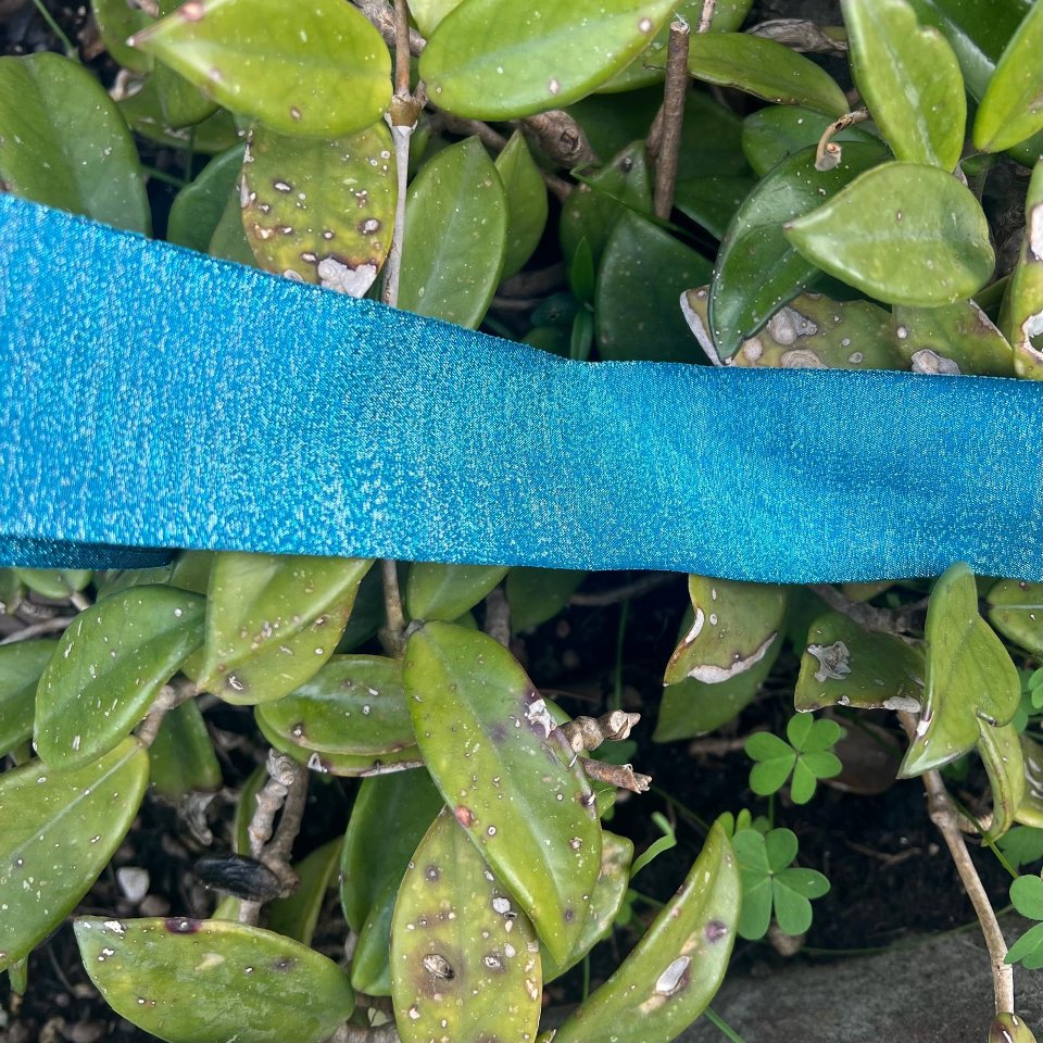 nastro sorbetto cardinale I nastri di Mirta 45mm x 1mt