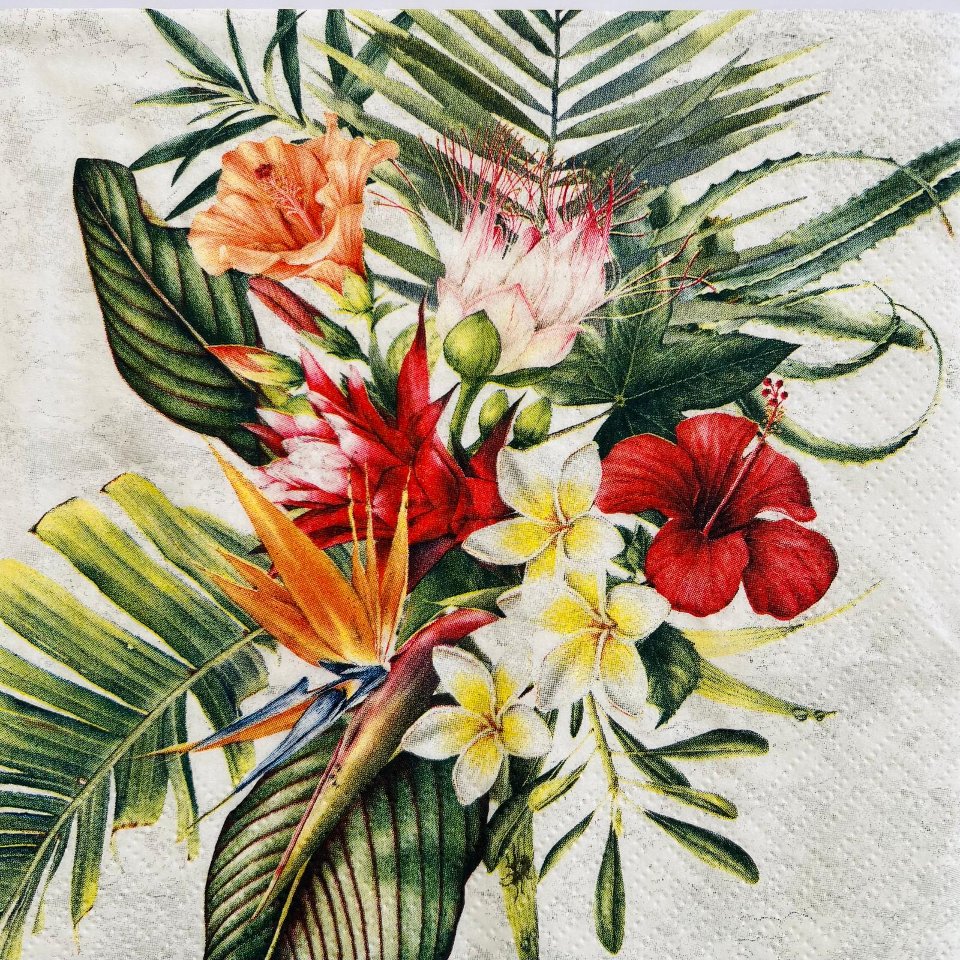 tovaglioli per decoupagecomposizione di fiori tropicali arti e grafica busta da 2 pezzi 33 x 33 cm