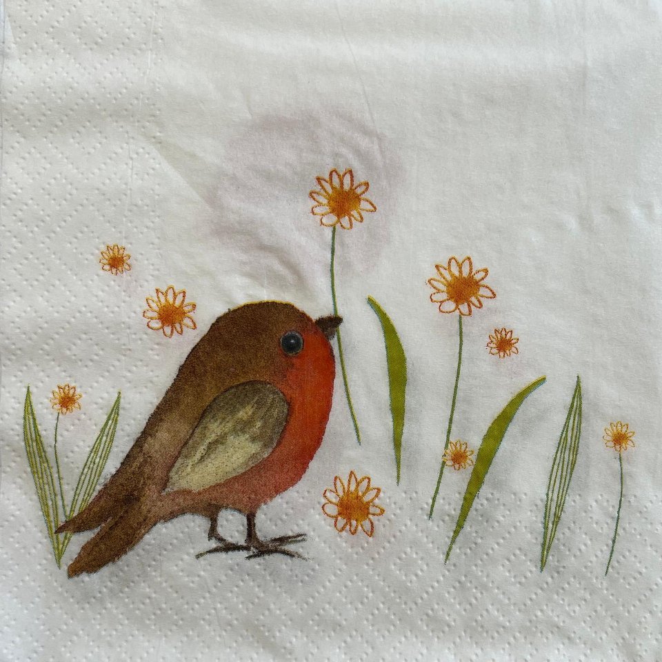 tovaglioli per decoupage uccellino con fiori arti e grafica busta da 2 pezzi 33 x 33 cm