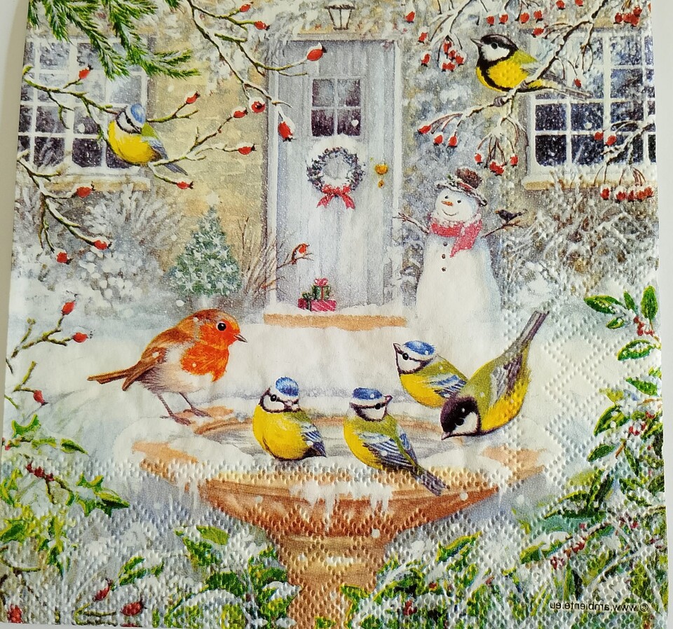 tovaglioli per decoupage fontanella con uccellini ambiente busta da 2 pezzi 33x33