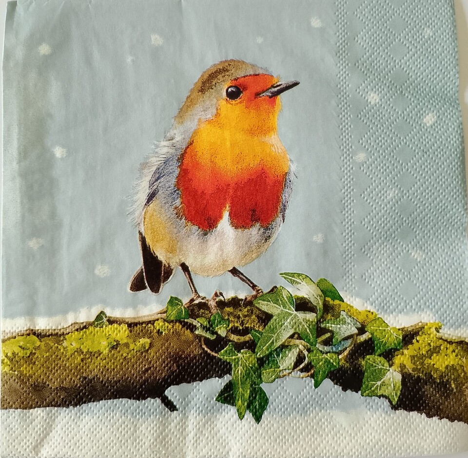 tovagliolo per decoupage pettirosso su ramo ambiente busta da 2 pezzi 33x33
