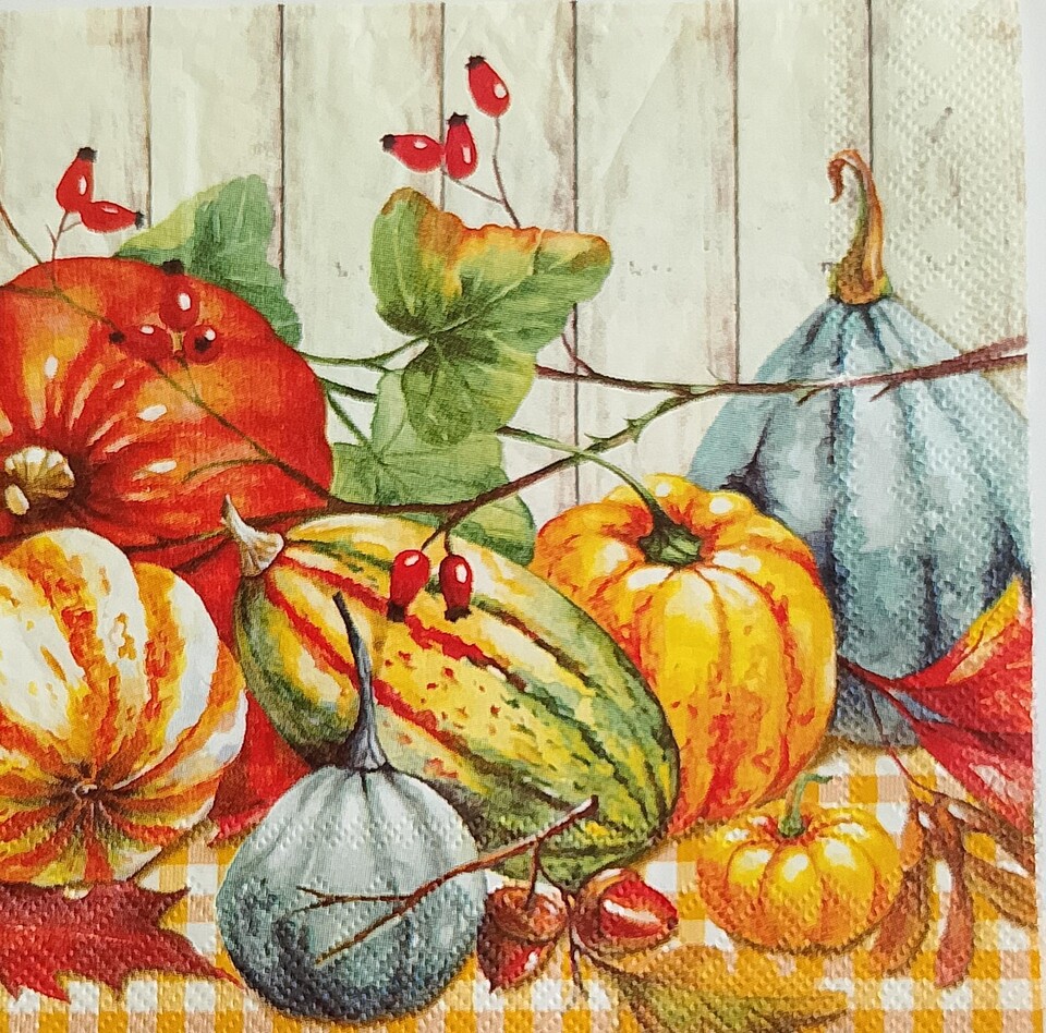 Tovagliolo zucche autunnali arti e grafica busta da 2 pezzi 25 x 25 cm