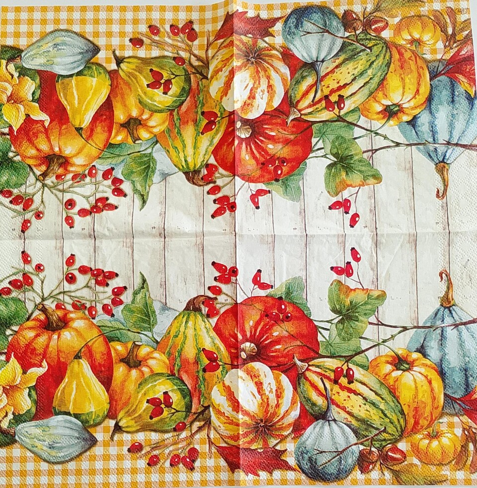 Tovagliolo zucche autunnali arti e grafica busta da 2 pezzi 25 x 25 cm