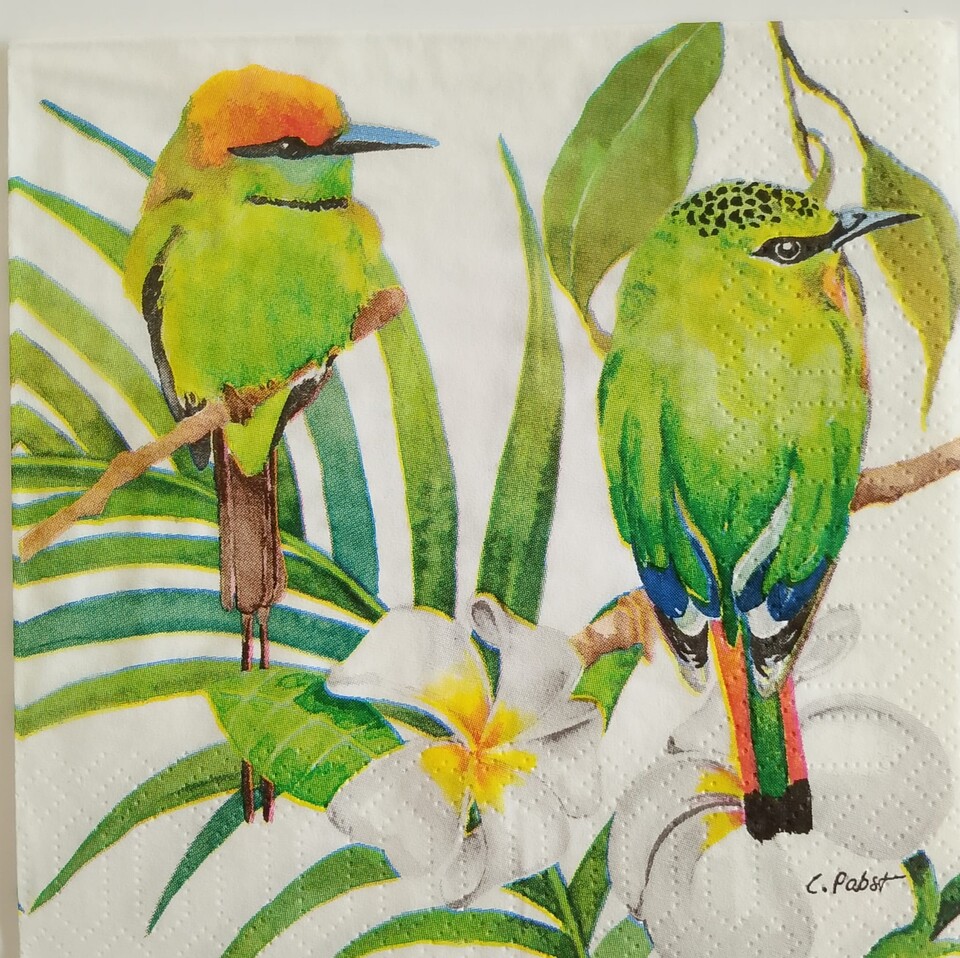 Tovaglioli con uccellini verdi arti e grafica busta da 2 pezzi 25 x25 cm