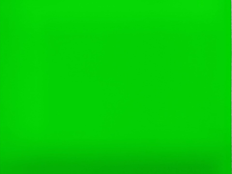 cartoncino verde fluo  busta da 5 fogli canson 250gr  29,7 x 42