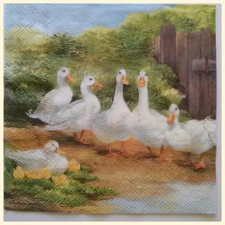 Tovaglioli  fantasia oche arti e grafica 33x33 (cm)
