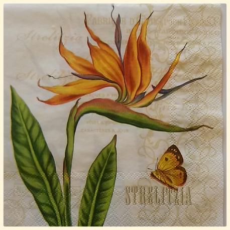 Tovagliolo strelizia e farfalla arti e grafica busta da 2 pezzi 33 x 33 cm