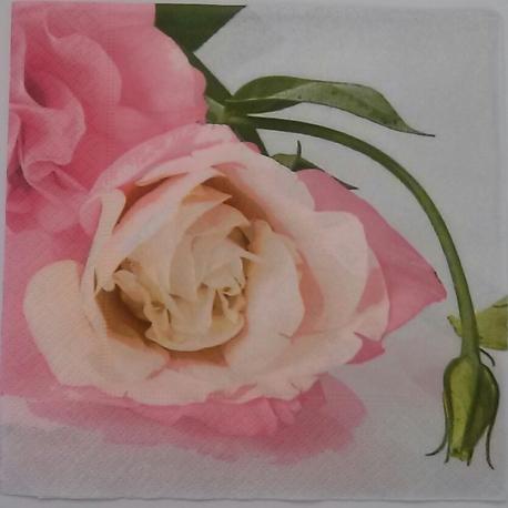 Tovagliolo per decoupage fiori di rosa con bocciolo artio e grafica busta da 2 pezzi 33 x 33 cm