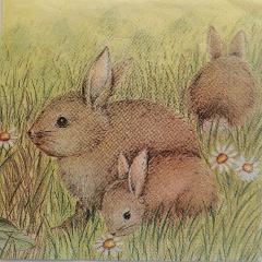 tovaglioli  pasquali conigli con margherite arti e grafica busta 2 tovaglioli 33 x 33