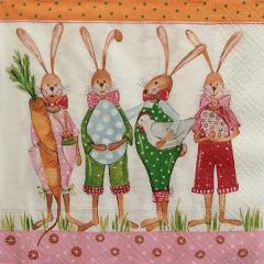 tovaglioli conigli con uova arti e grafica busta da 2 pezzi 33 x 33 cm