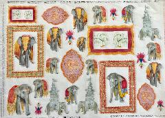 Carta velo - Elefanti Indiani SC3 TODO Paper Soft 50x70 cm