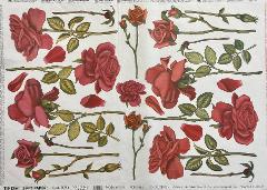 Carta velo - Rose Rosse TODO Paper Soft 50x70 cm