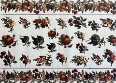 Carta velo - Frutta (SC1) TODO Paper Soft 50 x 70 cm