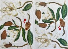 Carta velo - Magnolia (SC1) TODO Paper Soft 50 x 70 cm