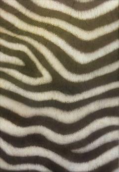 Carta riso zebrato stamperia 33x48