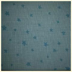 Tessuto americano azzurro con stelline to.do 50x55cm