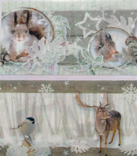 pellicola termoretraibile con fantasia animali da bosco  stafil 31,5 cm x 9cm