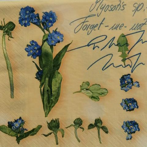 tovagliolo per decoupage fiori azzurri arti e grafica busta da 2 pezzi 33 x 33 cm