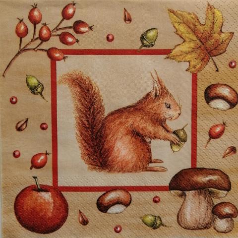 tovaglioli per decoupage animali scoiattoli arti e grafica busta da 2 pezzi 33 x 33 cm
