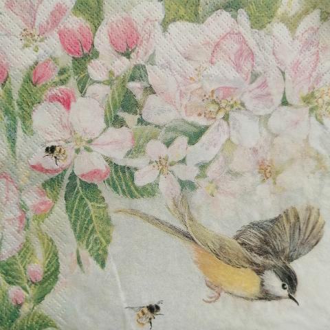tovaglioli per decoupage fiori di mandorle con uccellini e nido arti e grafica busta da 2 pezzi 33x33 cm