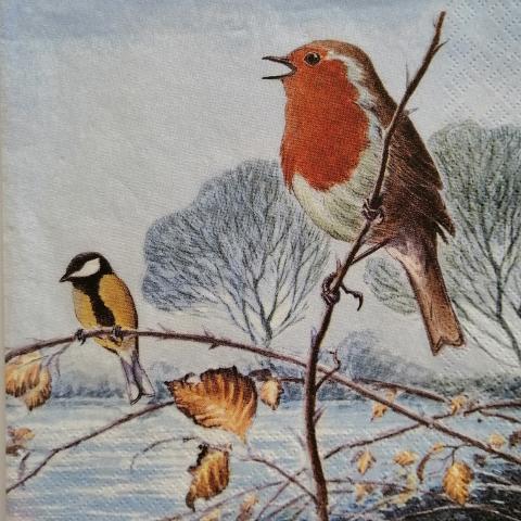 tovaglioli per decoupage natalizio uccellini sulla neve arti e grafica busta da 2 pezzi 33x33