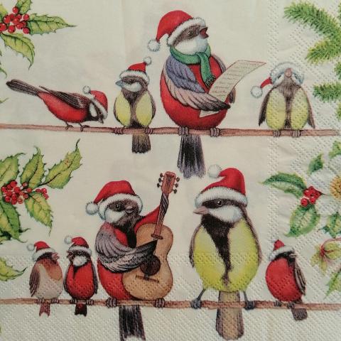 tovaglioli per  decoupage  natalizi uccelli su ramo arti e grafica busta da 2 pezzi 33x33