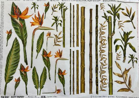 Carta velo - Bamboo e Fiori Tropicali SC3 TODO Paper Soft 50x70 cm