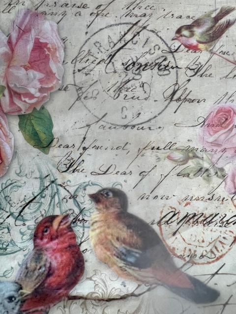 Carta di riso - Uccellini Shabby (SC1) Stamperia 59 x 24 cm