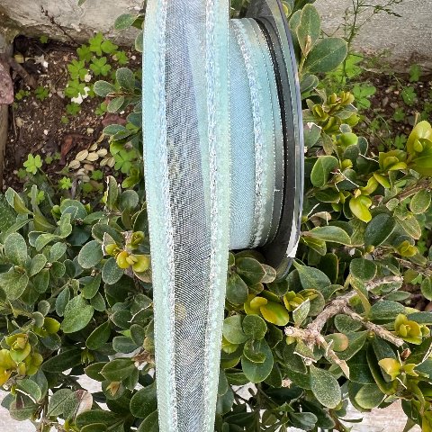 Nastro Decoro di colore verde lime con cuciture argento pbs larghezza 25 mm