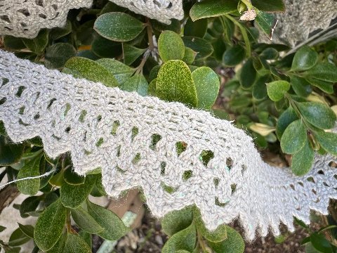 Pizzo smerlato in puro cotone tortora con filo iridescente I nastri di Mirta 24 mm x1 m