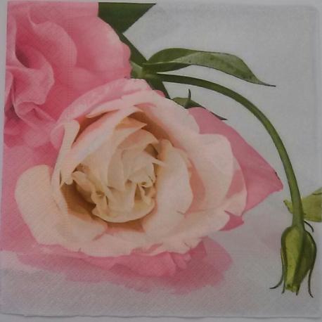 Tovagliolo per decoupage fiori di rosa con bocciolo artio e grafica  busta da 2 pezzi 33 x 33 cm