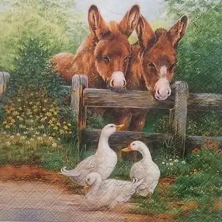 tovaglioli per decoupage animali asini e oche arti e grafica busta da 2 pezzi 33x33cm