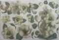 Carta riso gardenie stamperia 33x48