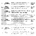 Iniziali - lettere in plexiglass specchiato - eventi BELLINVETRO VR 21