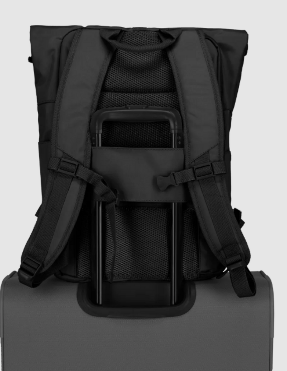 ZAINO ROLLUP  P/C 15.6    096310 TRAVELITE Linea BASICS