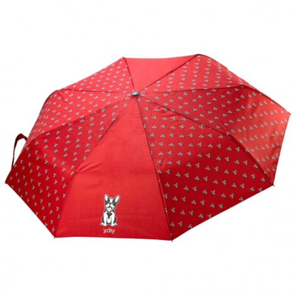 Ombrello Donna Mini  Apri e Chiudi Y-dry ETTORE