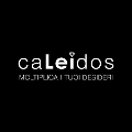 Borsa Doppio Manico Caleidos Linea PELLE