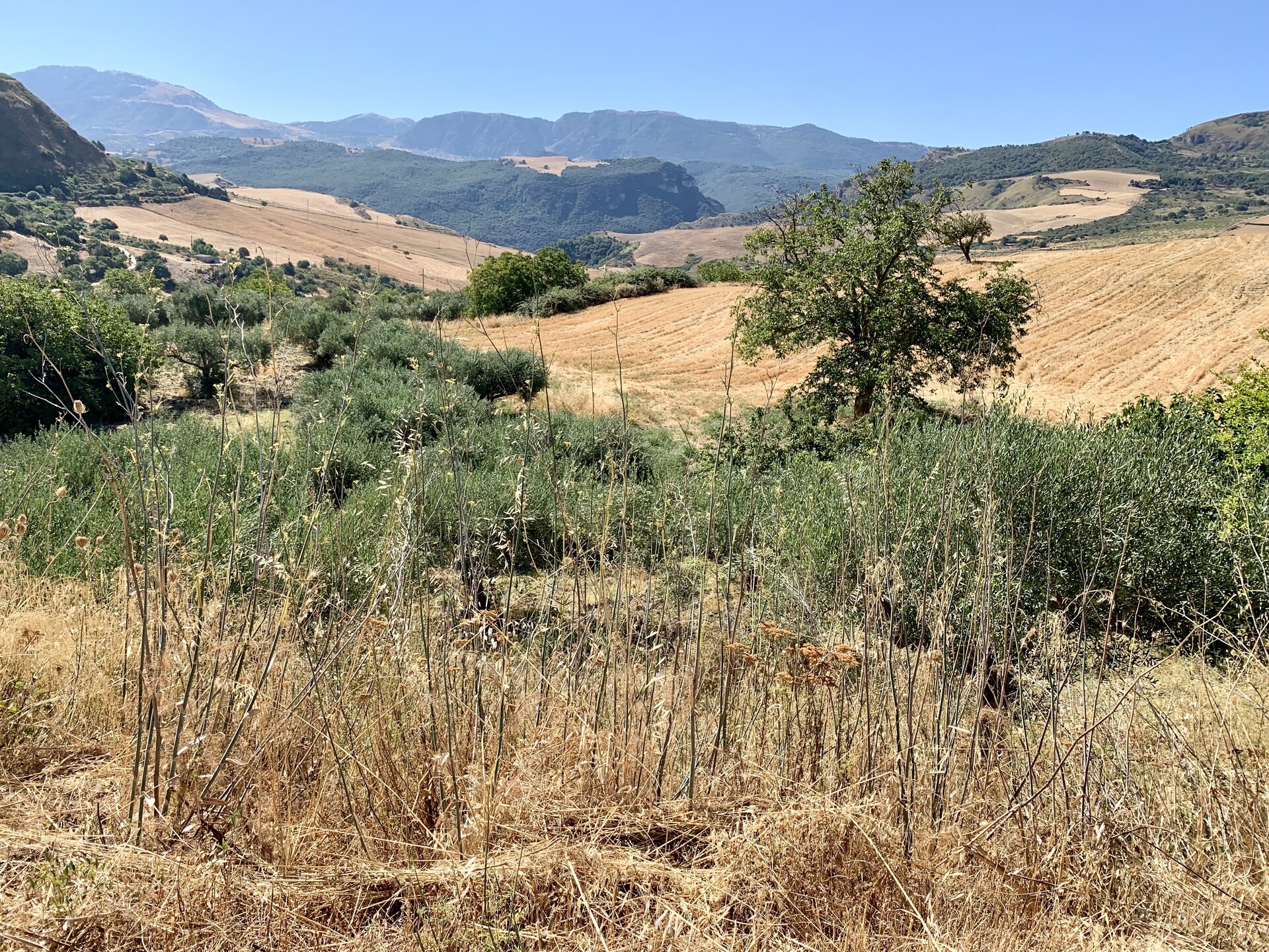 Rustico di campagna in Vendita a Bisacquino (Palermo)