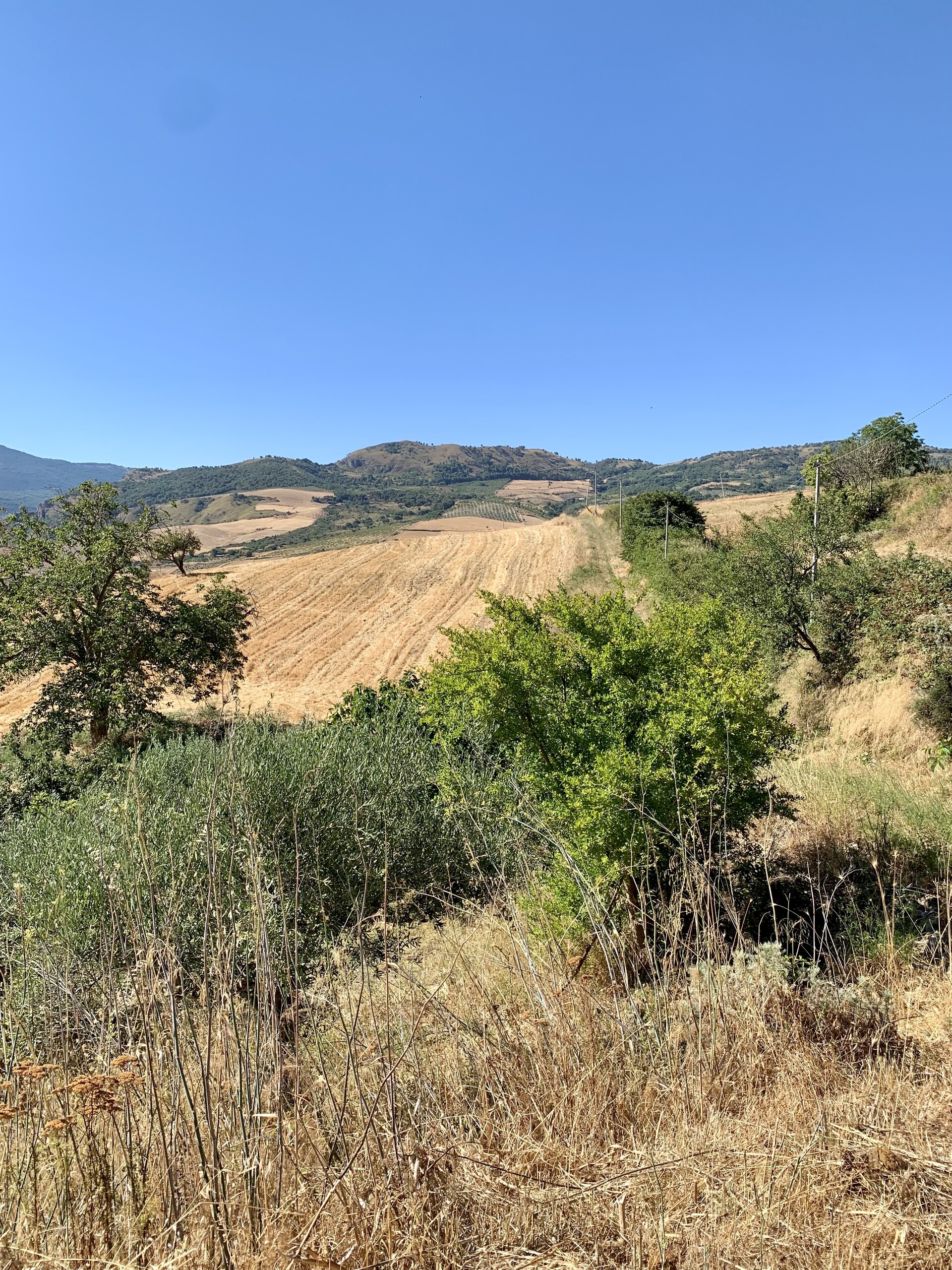 Rustico di campagna in Vendita a Bisacquino (Palermo)