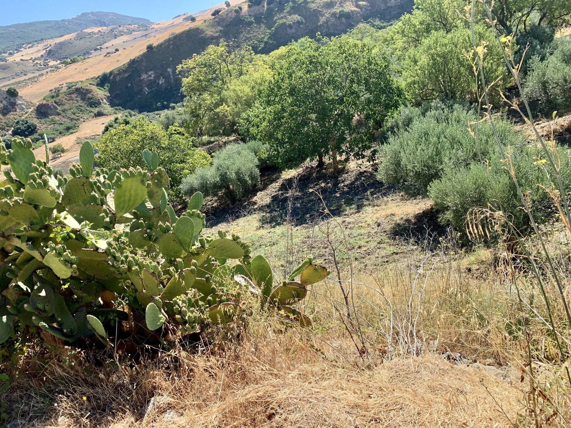 Rustico di campagna in Vendita a Bisacquino (Palermo)