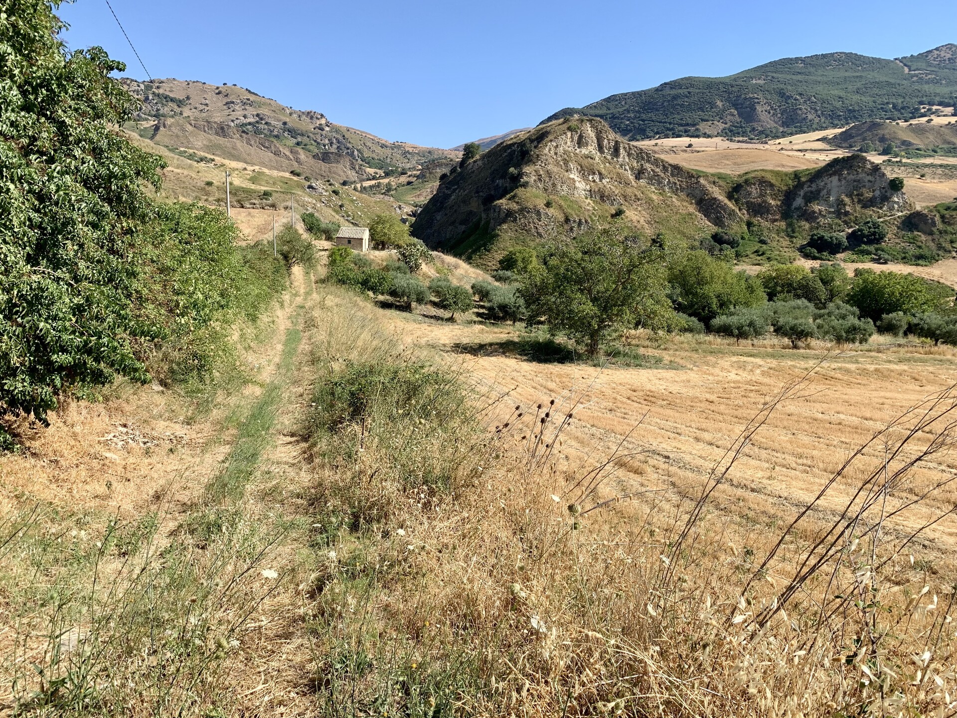 Rustico di campagna in Vendita a Bisacquino (Palermo)
