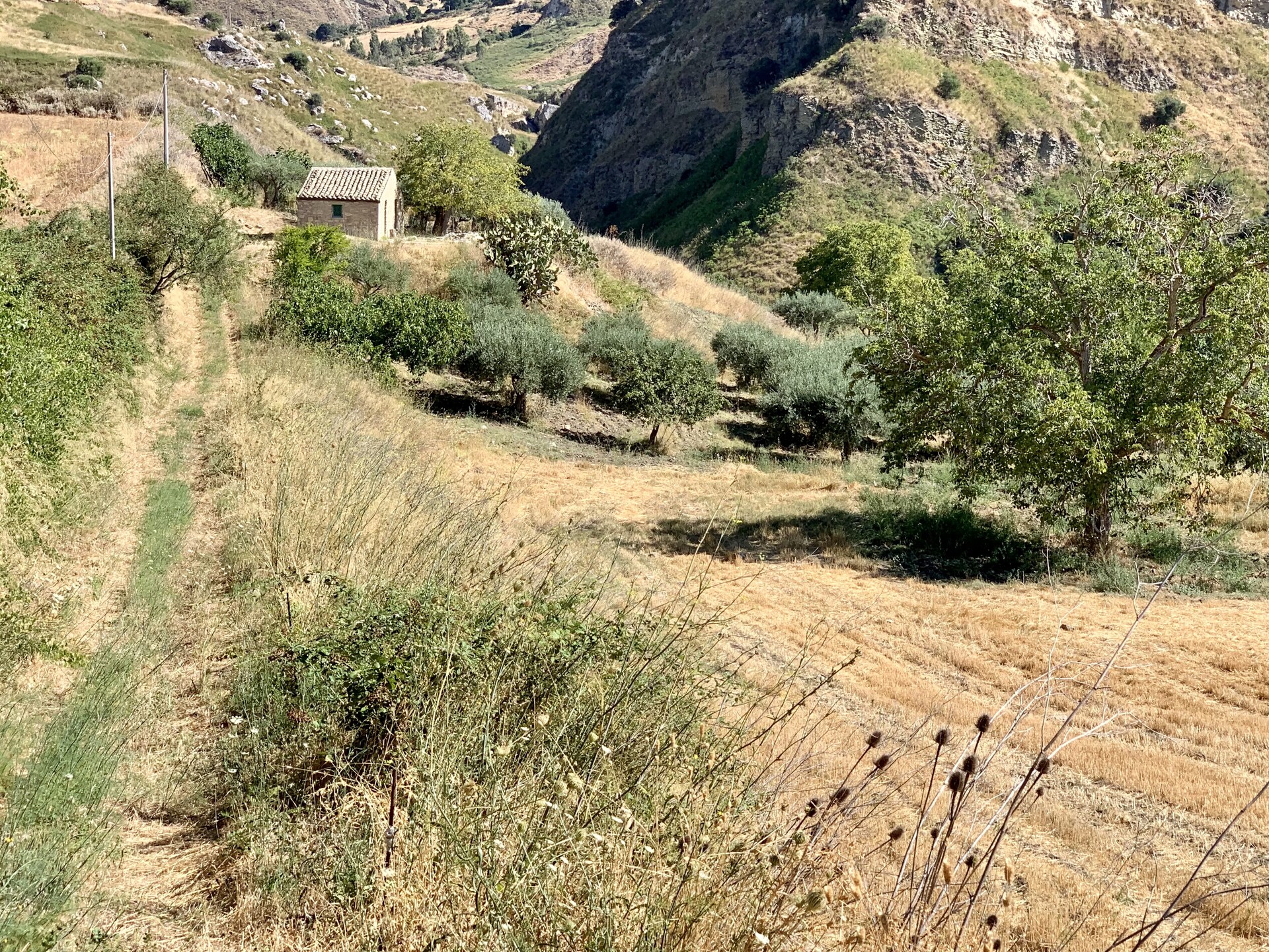 Rustico di campagna in Vendita a Bisacquino (Palermo)