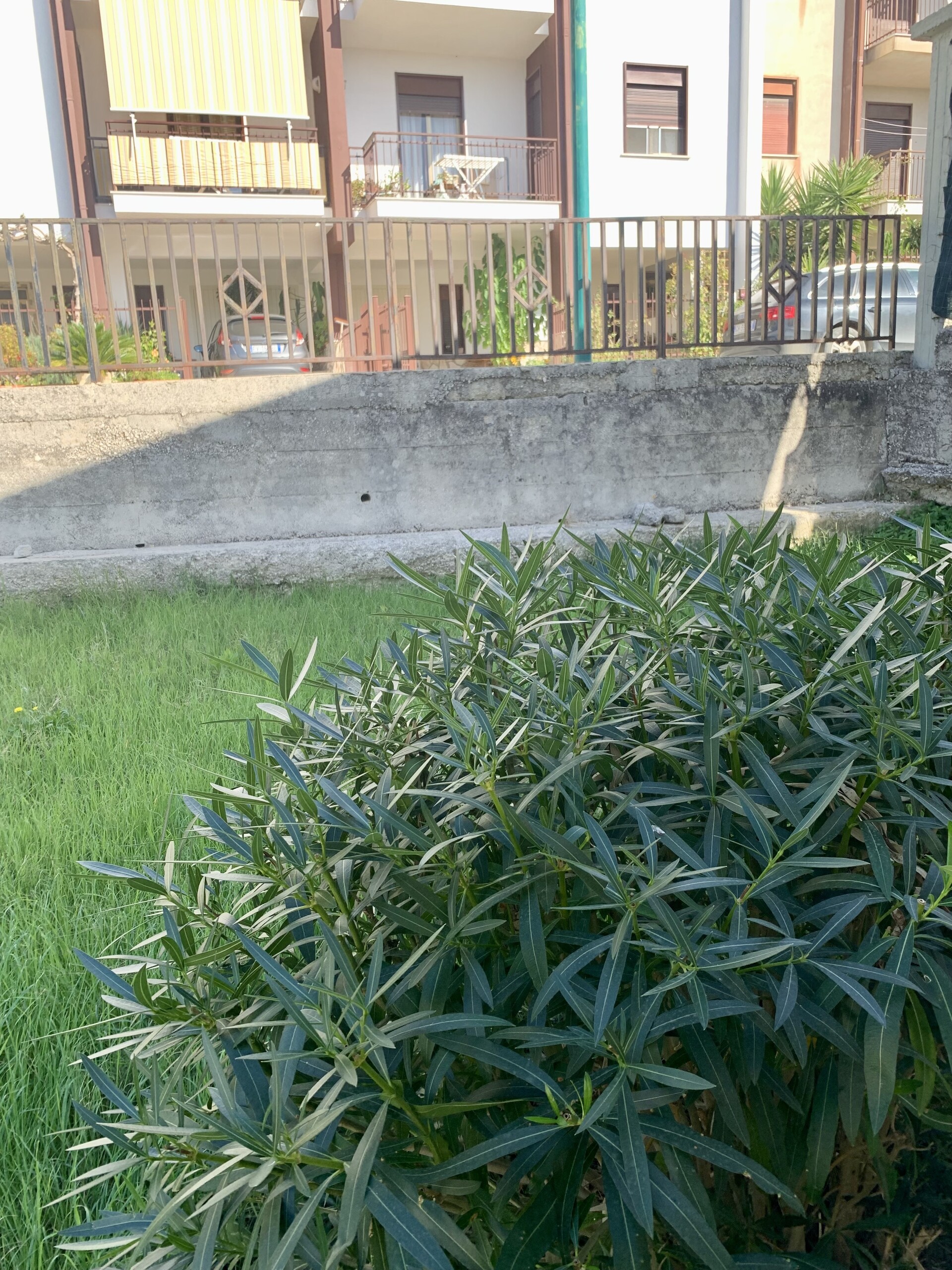 Appartamento in Vendita a Bisacquino (Palermo)
