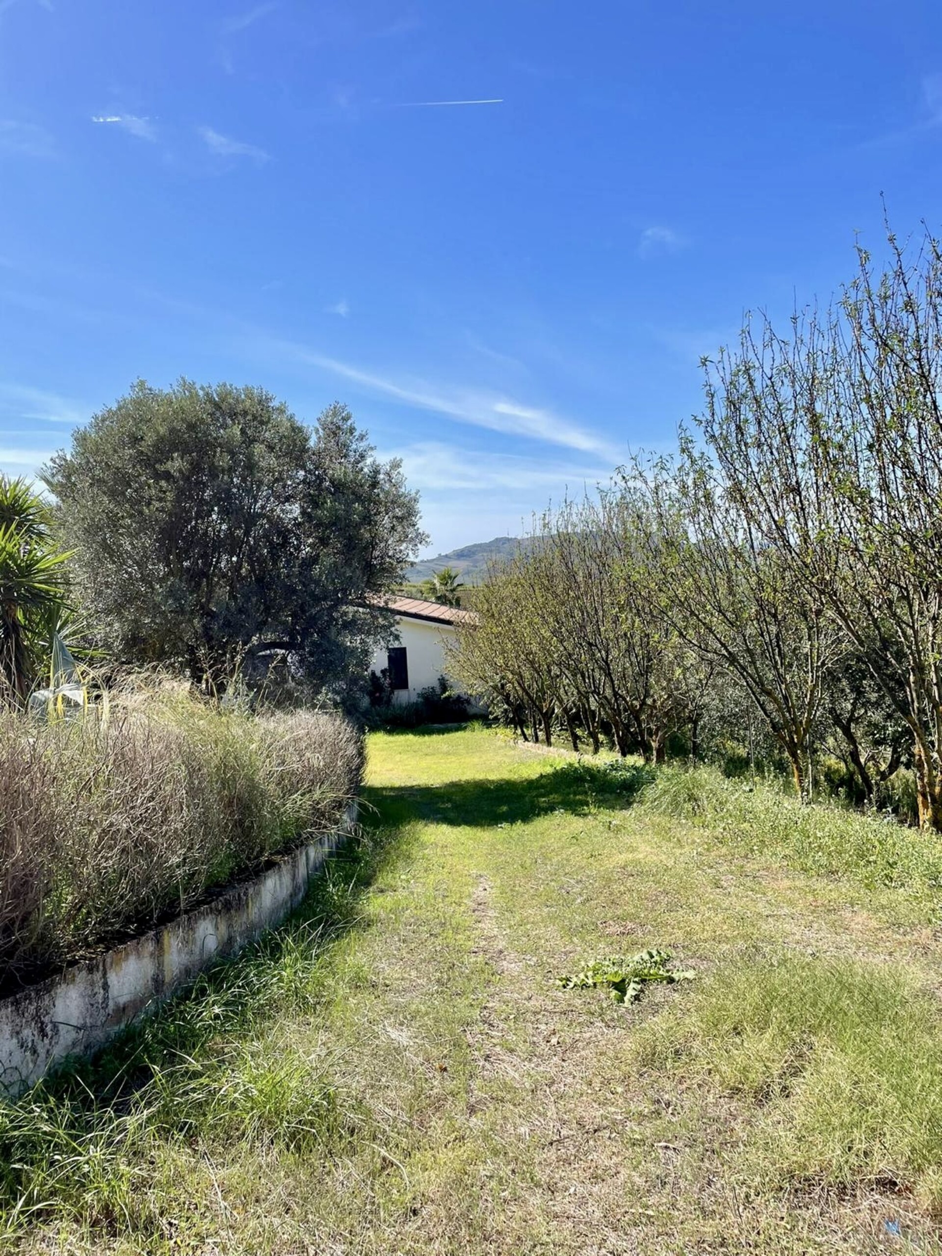 Villa in Vendita a Monreale (Palermo)