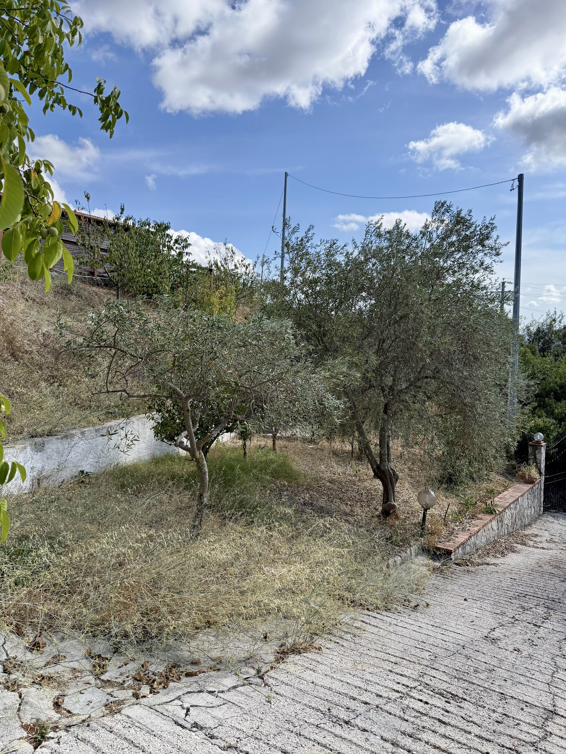 Rustico di campagna in Vendita a Chiusa Sclafani (Palermo)