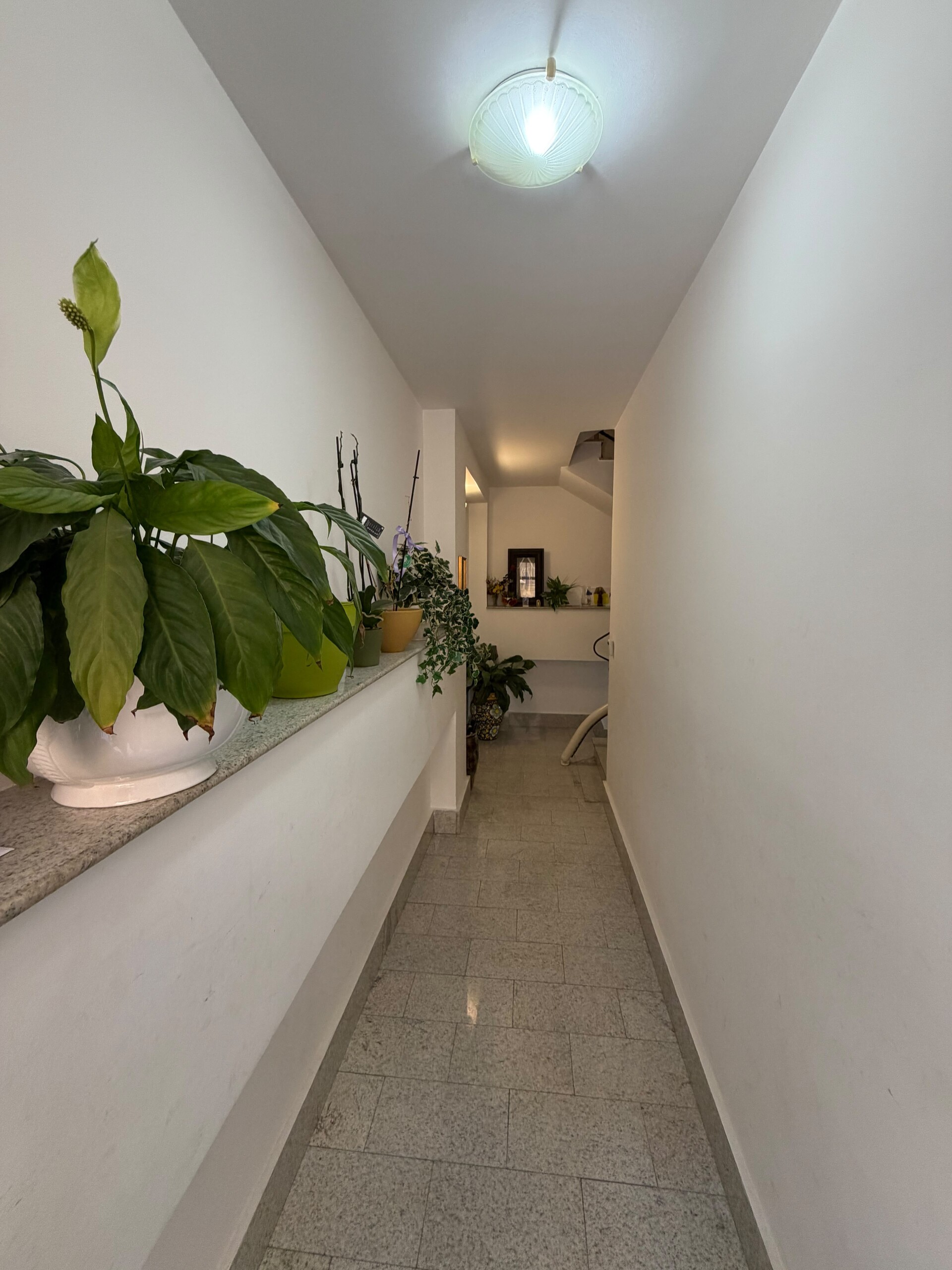 Appartamento in Vendita a Marineo (Palermo)
